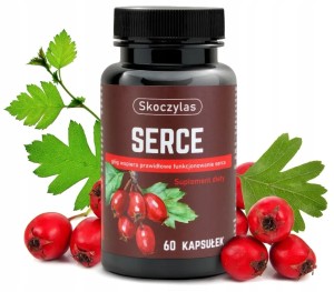 SKOCZYLAS SERCE GŁÓG, SERDECZNIK, L-LIZYNA 60KAP