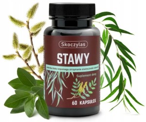 SKOCZYLAS STAWY KADZID., WIERZBA, ASHWA.SOSNA 60K