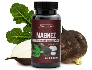 SKOCZYLAS MAGNEZ 4 FORMY WIT.B6. CZARNA RZEPA 60K