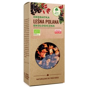 DARY NATURY LEŚNA POLANA 100G EKO