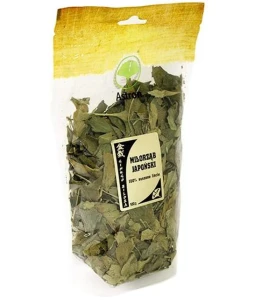 ASTRON MIŁORZĄB JAPOŃSKI 100G