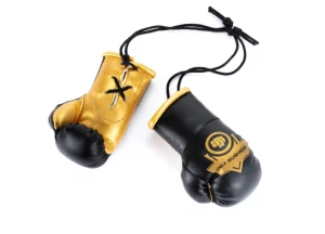 DBX BUSHIDO ZAWIESZKA NA LUSTRO RĘKAWICA GOLD