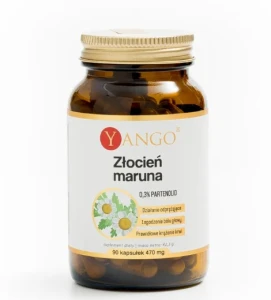 YANGO ZŁOCIEŃ MARUNA 90KAPS